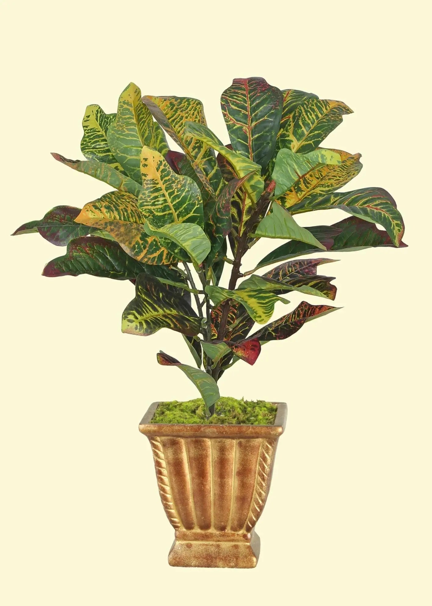 22 inch Croton Bush Real Touch for Home or Office Silk Plants Canada