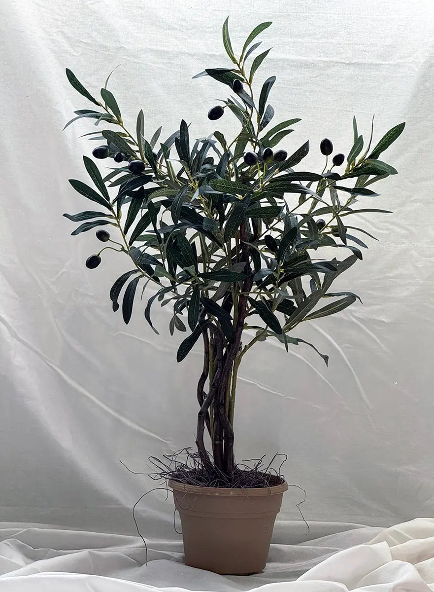 28 inch Artificial Mini Olive Tree w Black and Green Olives Front Silk Plants Canada