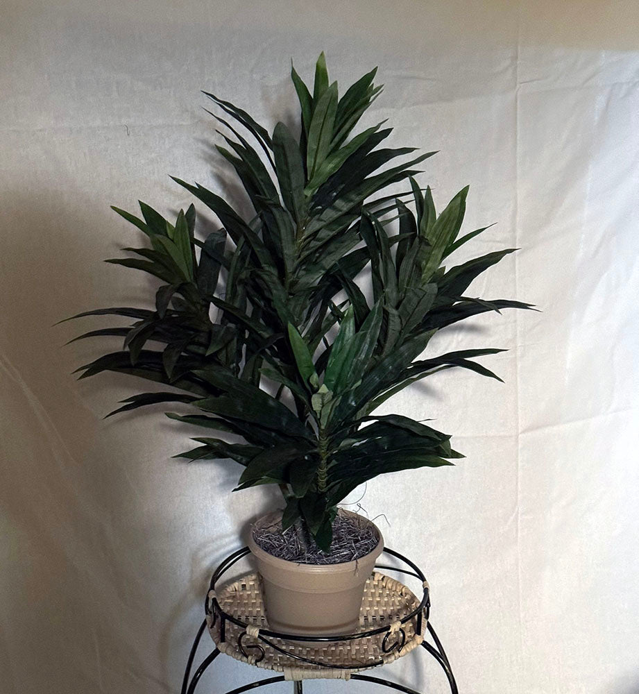 28 inch Artificial Silk Dracaena Pleomele Plant for Home or Office