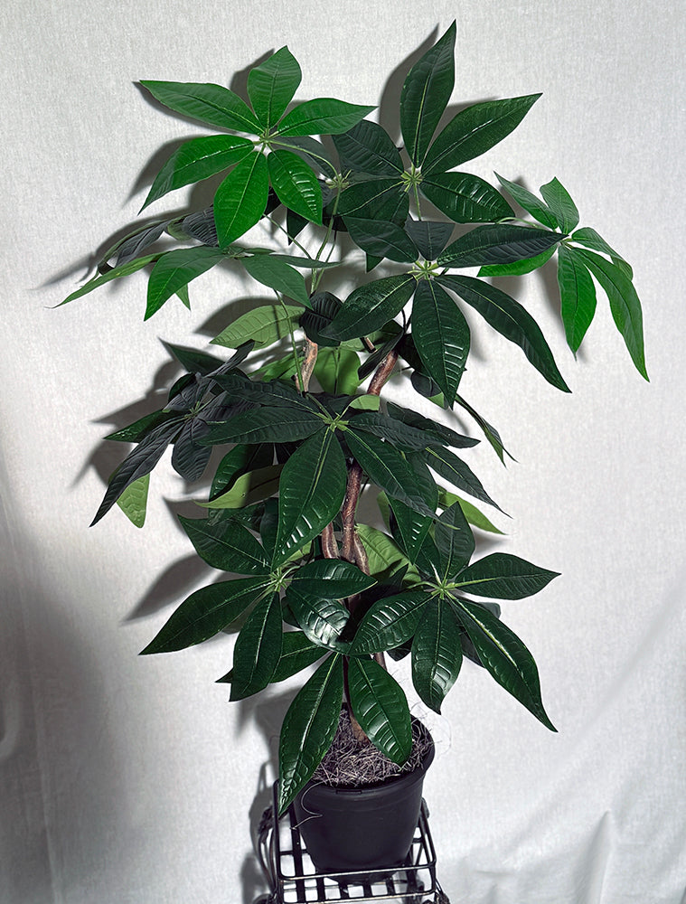 3 Foot Artificial Silk Pachira Tree Custom Made on Natural Wood Silk Plants Canada