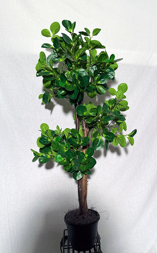 This realistic 45-inch peperomia topiary tree is pre-potted and ready to display. Shop now!  Silk Plants Canada