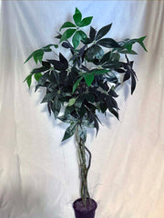 64" Artificial Silk Pachira or Money Tree Custom Made on Natural Wood Silk Plants Canada