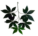 Artificial Silk Money Tree Branch aka Pachira x 12 per box