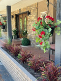 Close Up of Artificial Silk Geranium Ivy with Deluxe Bird Nest Grass Silk Plants Canada