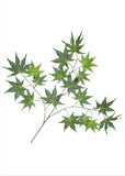 Artificial Silk Japanese Maple Branch also known as the Marijuana Look alike Silk Plants Canada