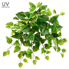 20" UV Protected Pothos Bush  Green White for  Indoor and Outdoor