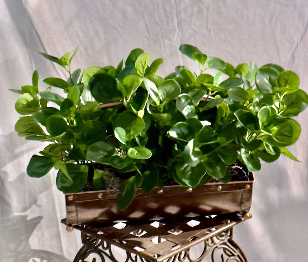 Artificial Silk Peperomia Bush in a Copper Deco Planter Lge