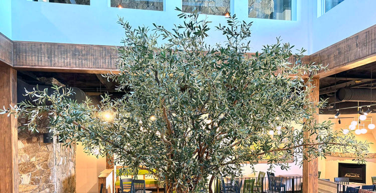 15 Foot x 16 Foot Artificial Silk Olive Tree Custom Made on Natural Wood for the Olympia Greek Restaurant