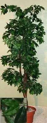 4 Foot Artificial Silk Ming Aralia Tree  on Natural Wood Silk Plants Canada