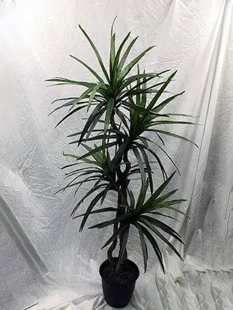 5 Foot Artificial Silk Dragon Tree  on Natural Wood Silk Plants Canada