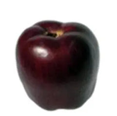 Artificial Apple Delicious Red Artificial Fruit Silk Plants Canada